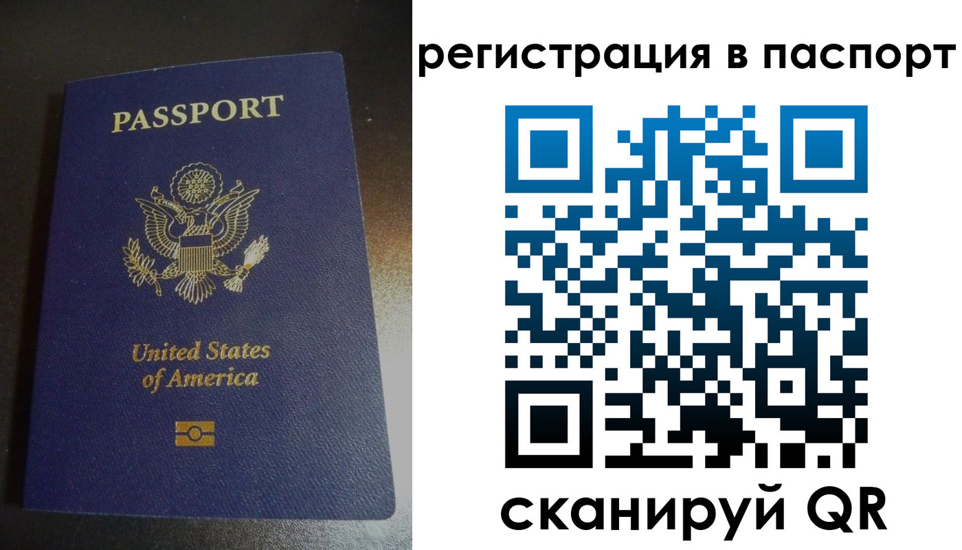 прописка для школы в Данкове